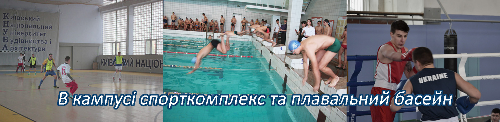 sportkbasjn1