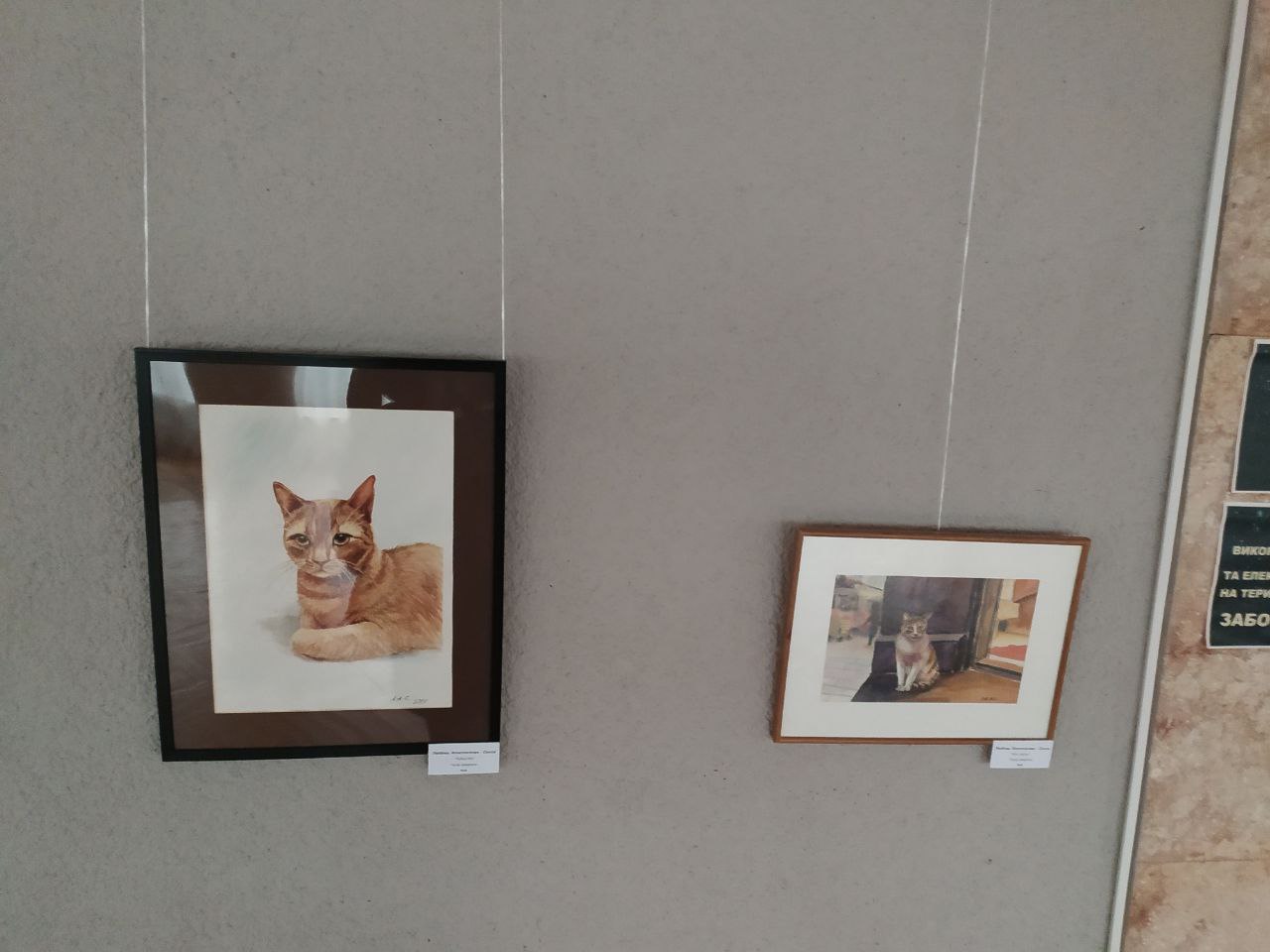 photo 2023 01 18 20 48 52 3
